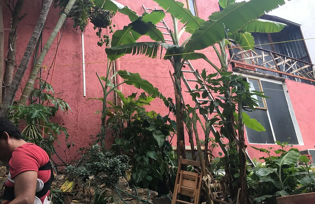 La Casa Del Nenufar-1