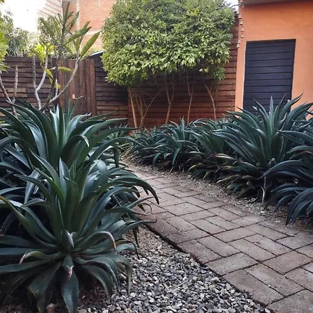 Tu Casa Oaxaca...-2