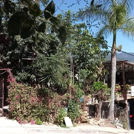 La Casa Del Nenufar-2