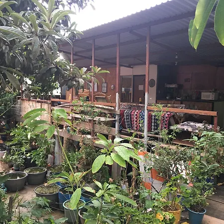 La Casa Del Nenufar-3